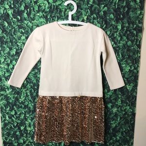 Crewcuts sweater sequence dress